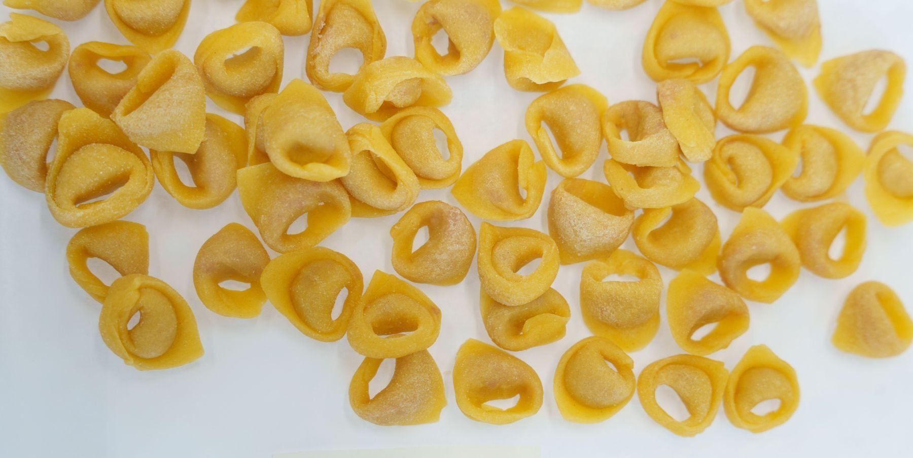 IPASTA4_Pasta demo&practice-24