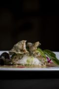 ALMA gara Emergente Chef - uno dei piatti realizzati