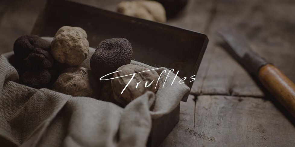 ALMA, una squadra in continua crescita: benvenuto ad Appennino Food Group