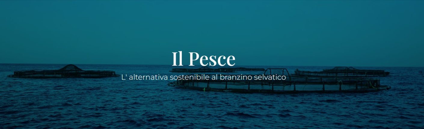 Aquanaria: l’alta qualità ittica entra in ALMA