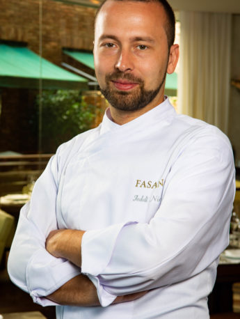 Nicola Fedeli